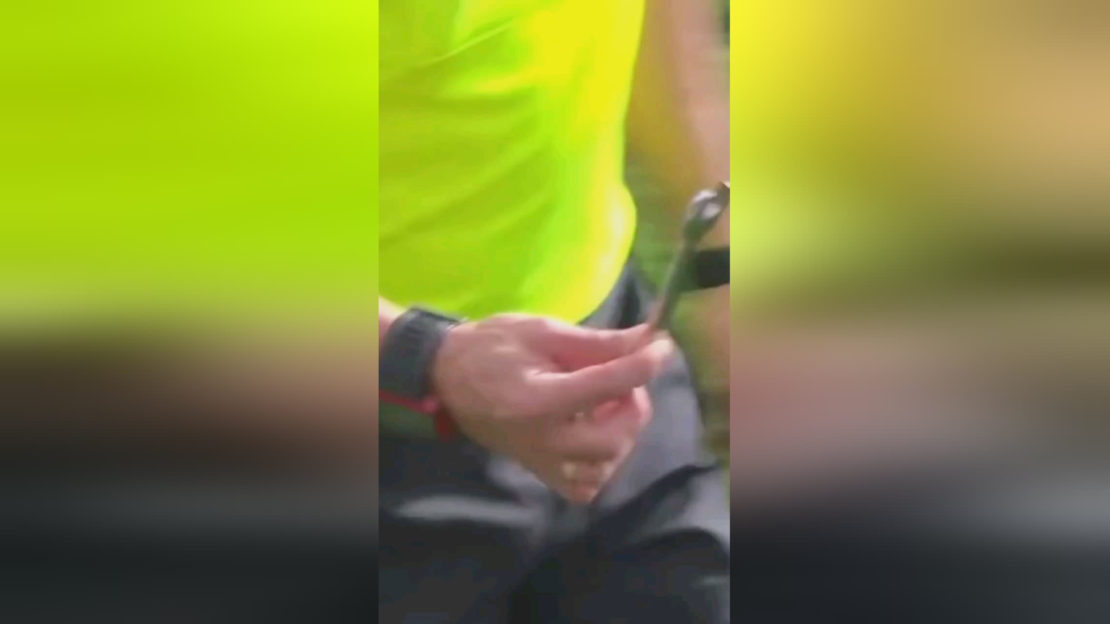 个人表